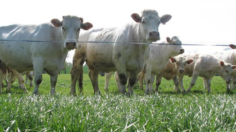 © H. Chaligne / GFA